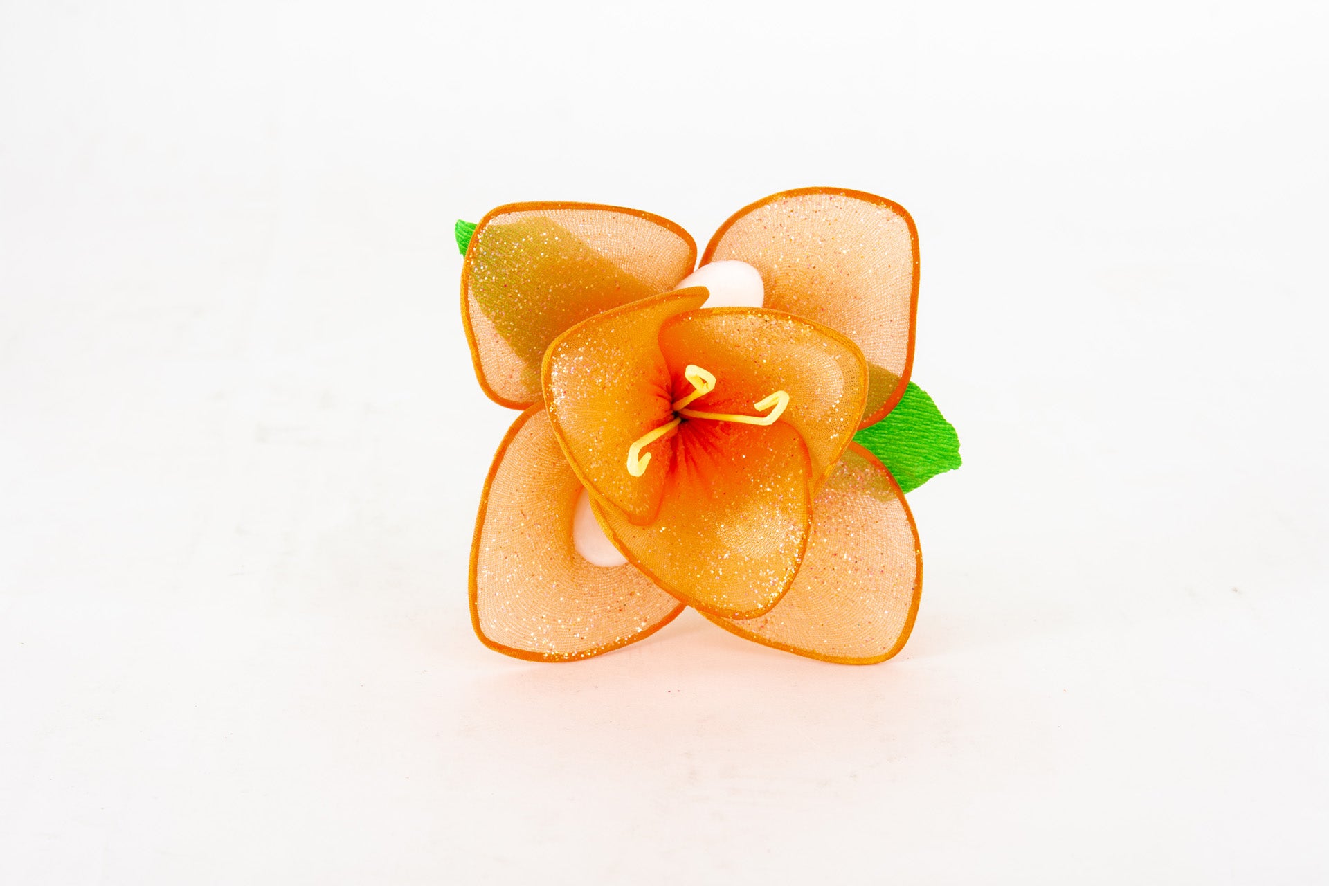 orchidea-2