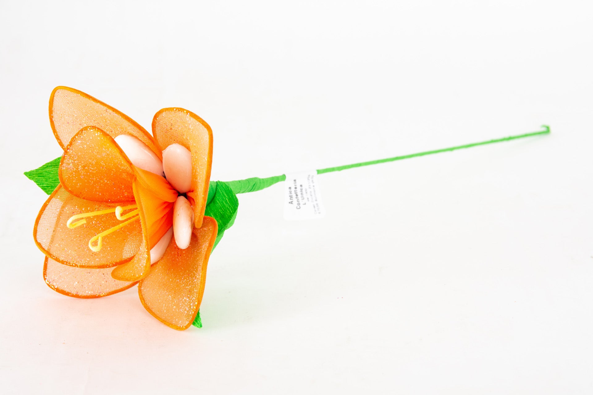 orchidea-3