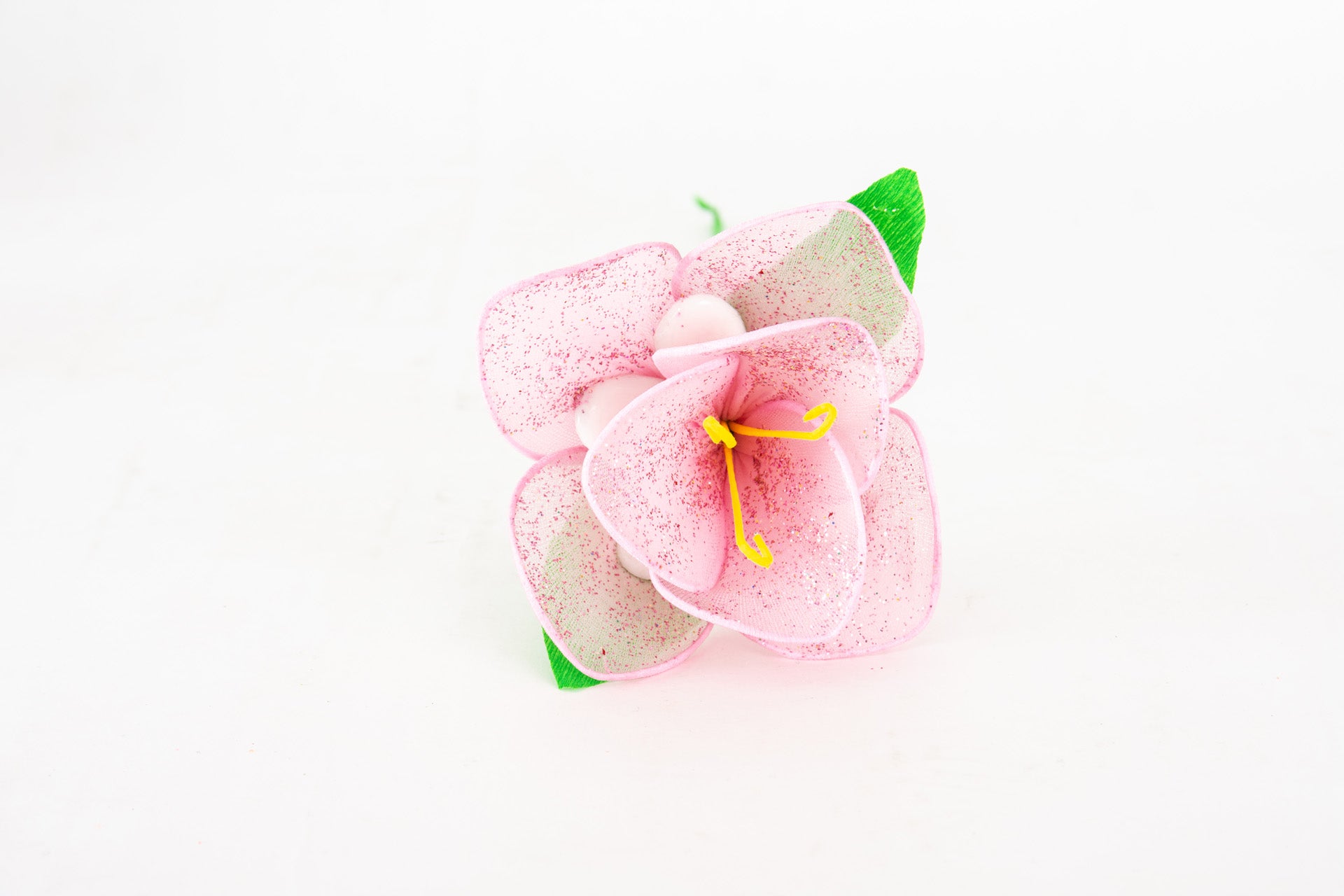 orchidea-4