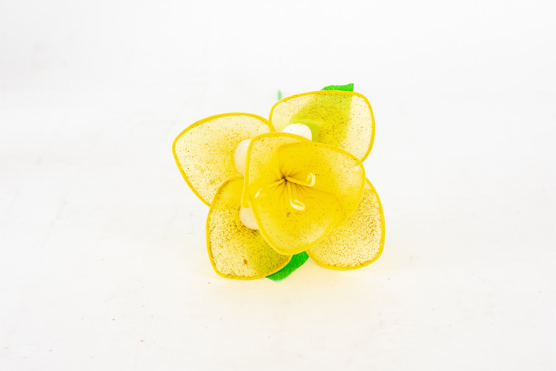 orchidea-6