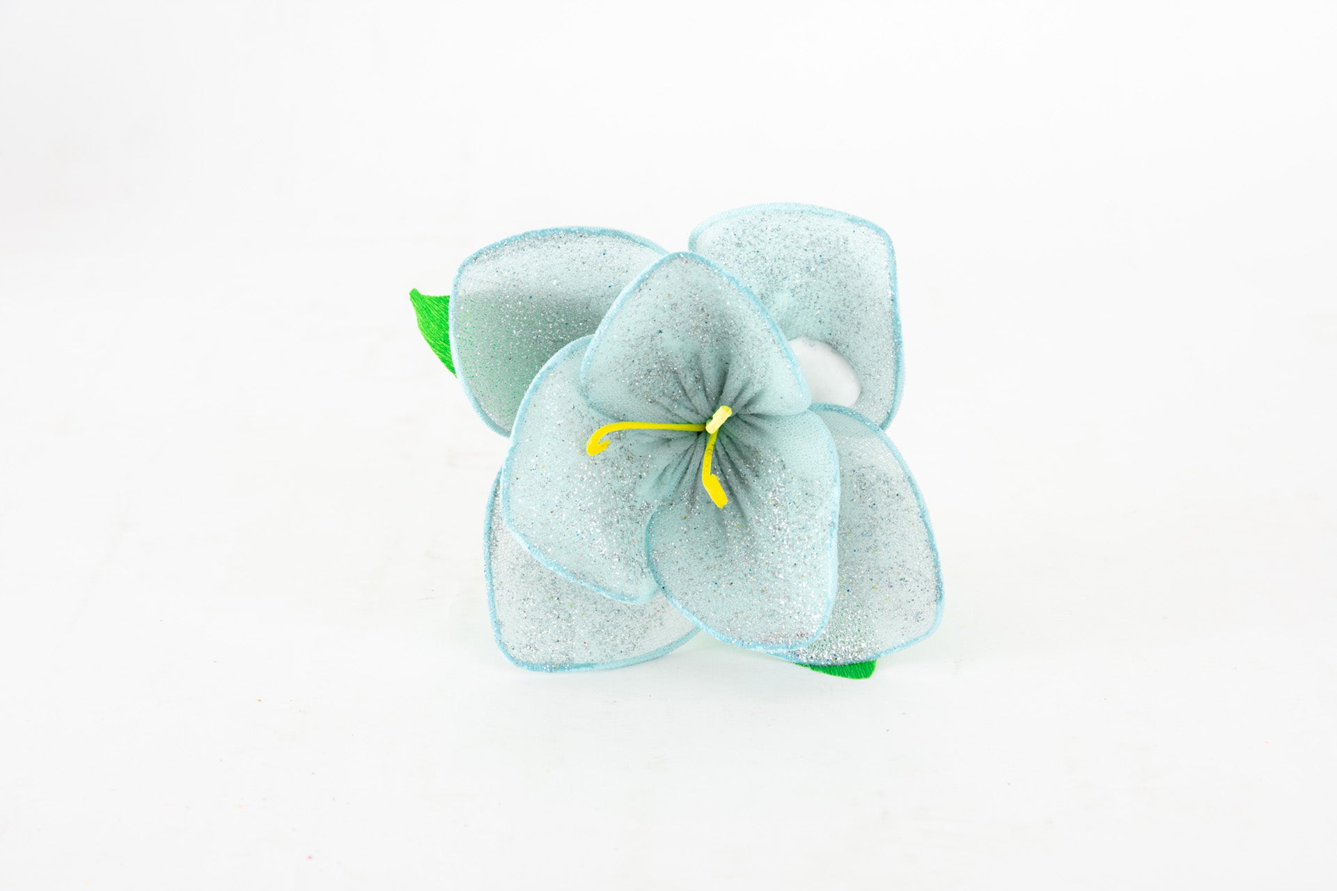 orchidea-8