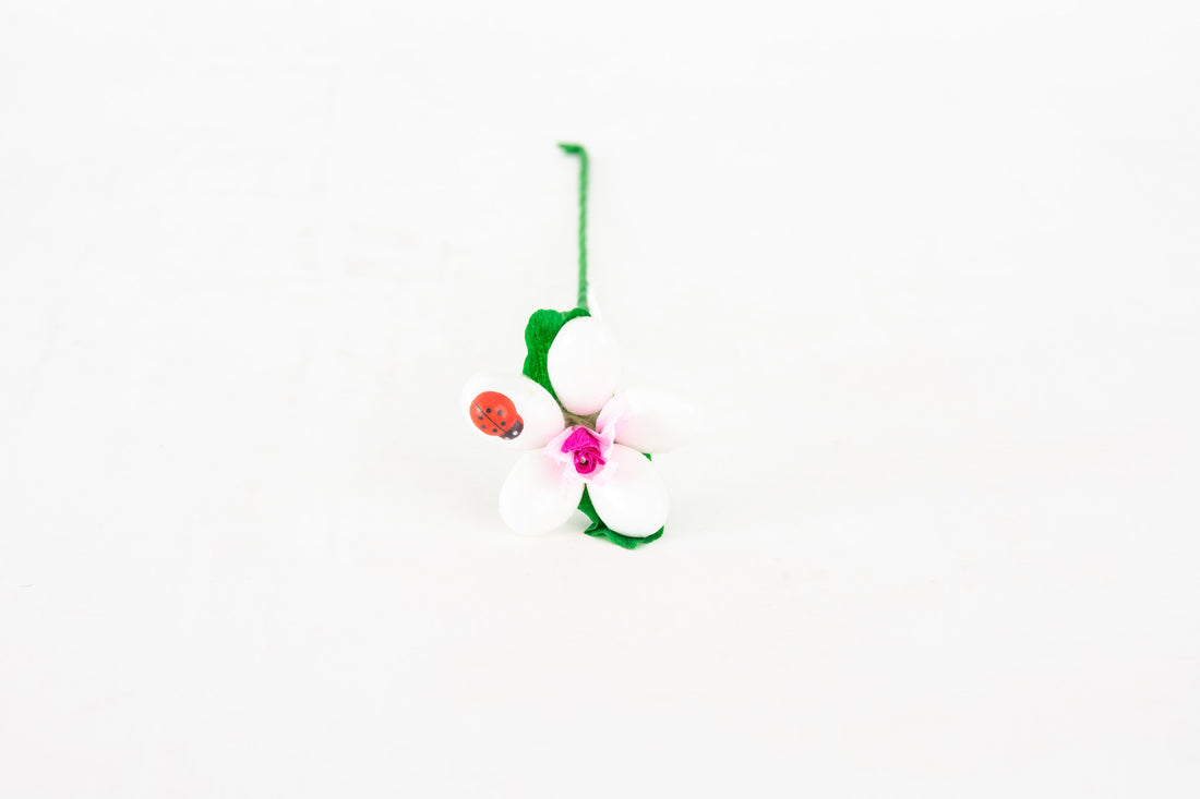 margheritina-con-coccinella-bianca