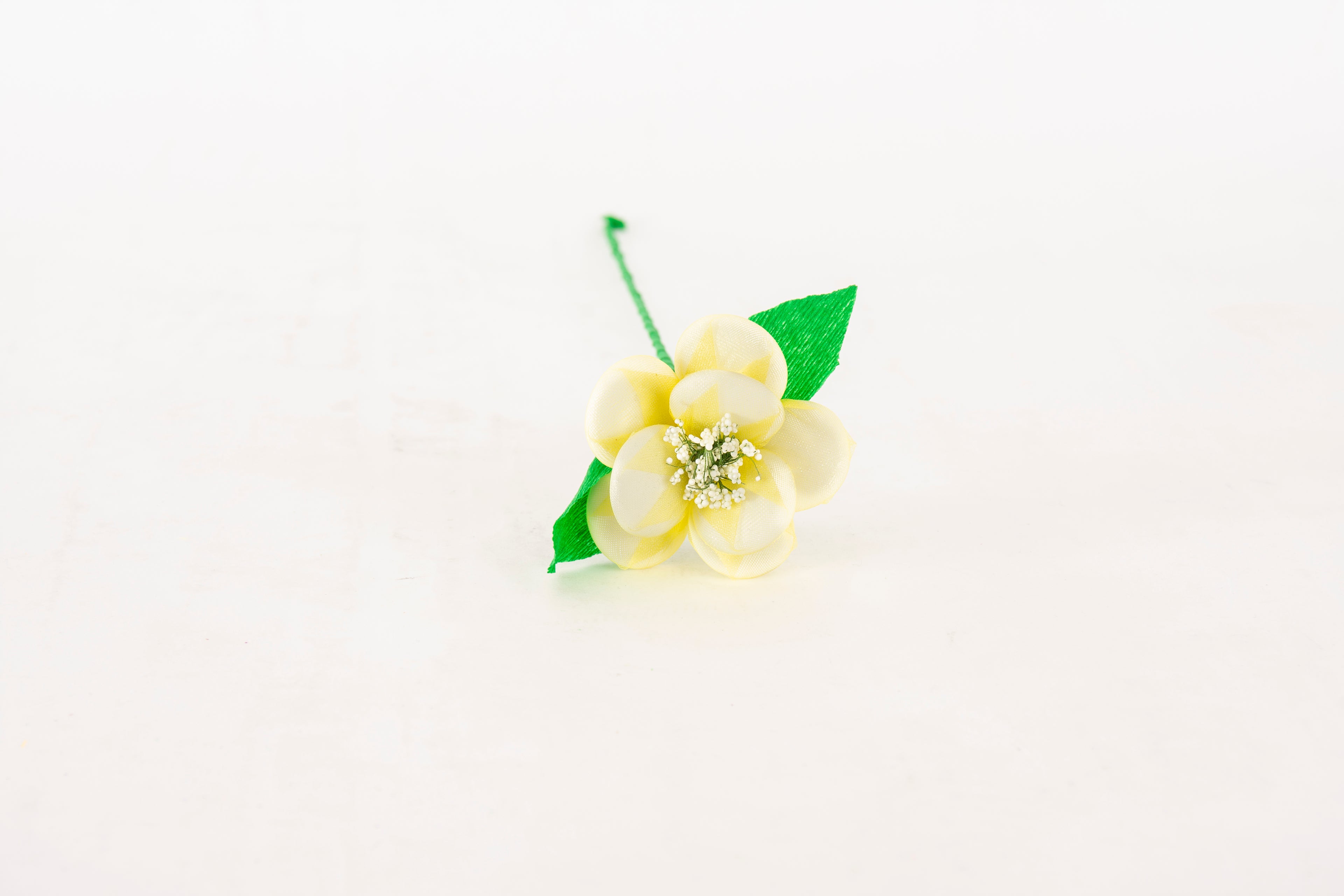 begonia-gialla
