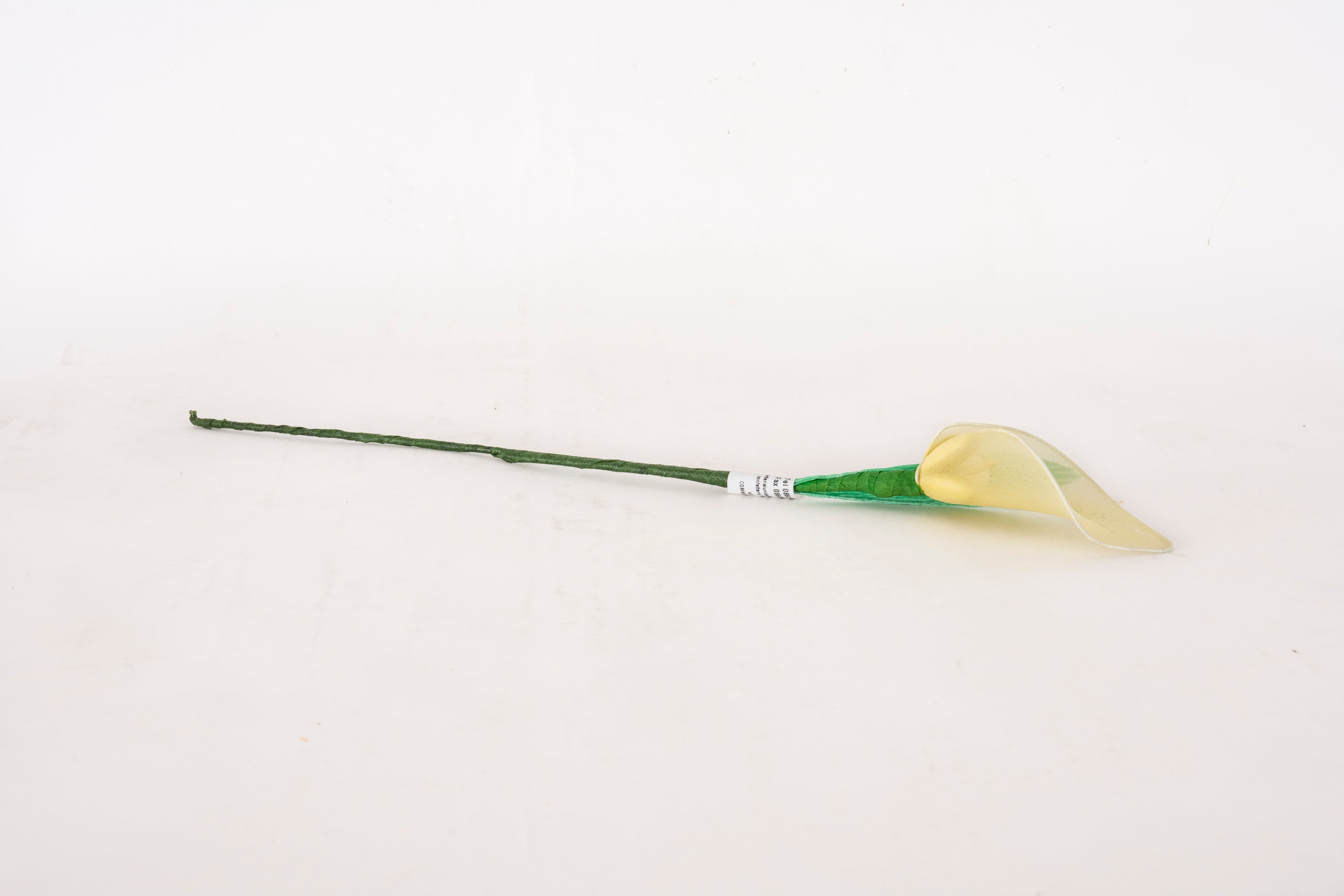 calla-media-gialla-2