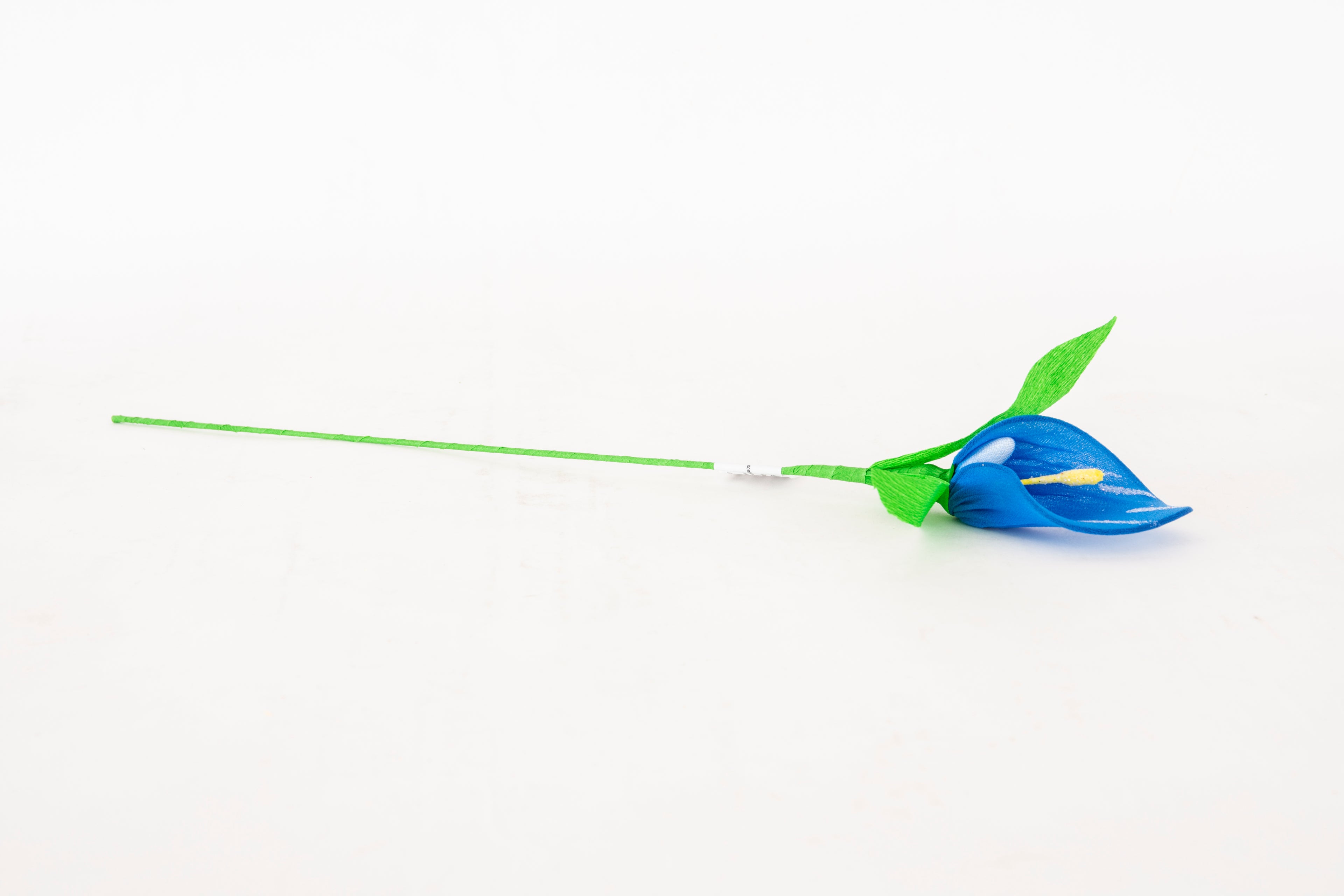 calla-media-blu-2