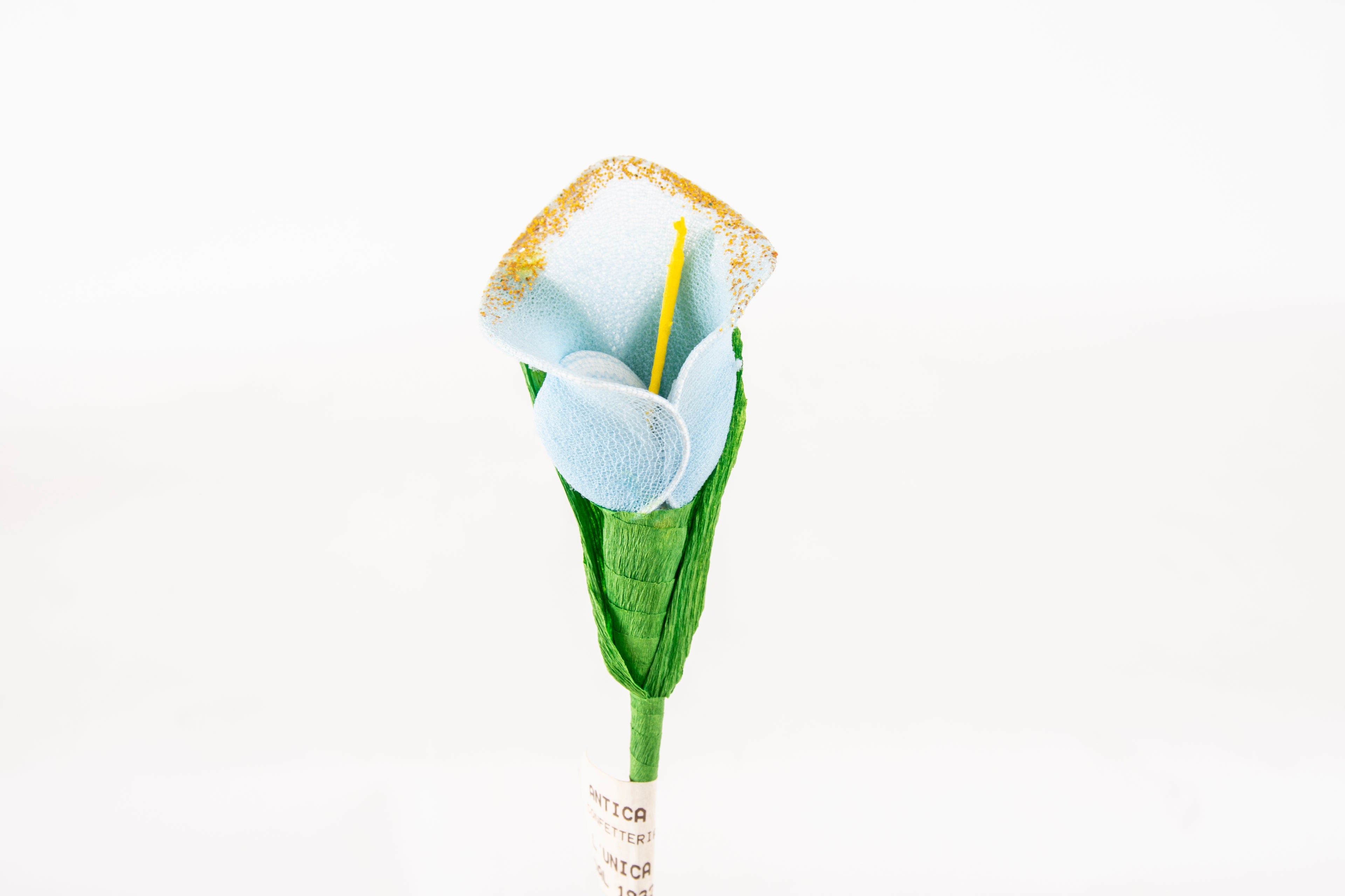 calla-piccola-azzurra