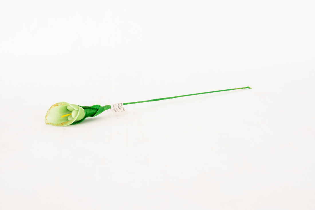 calla-piccola-verde-2