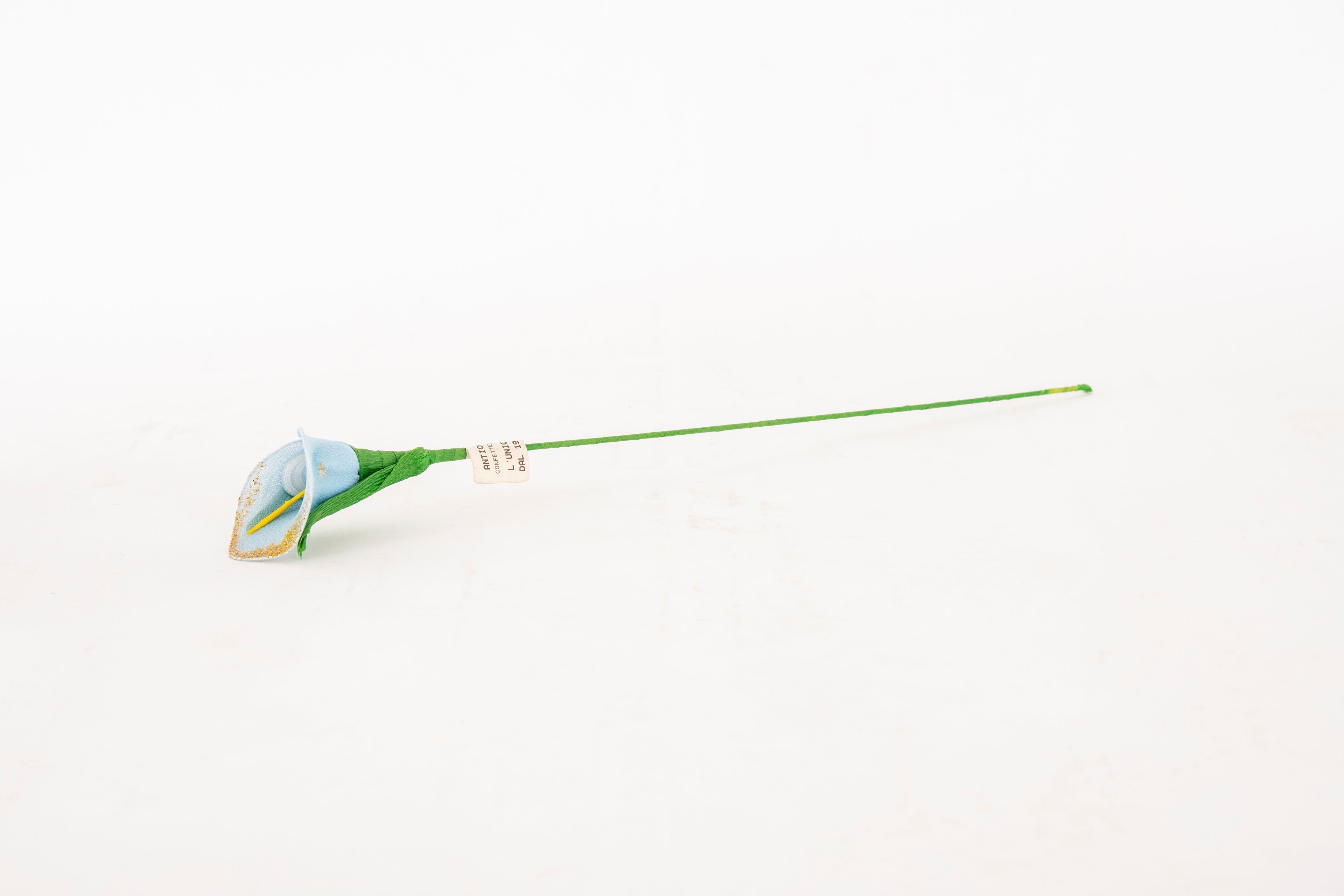 calla-piccola-azzurra-2