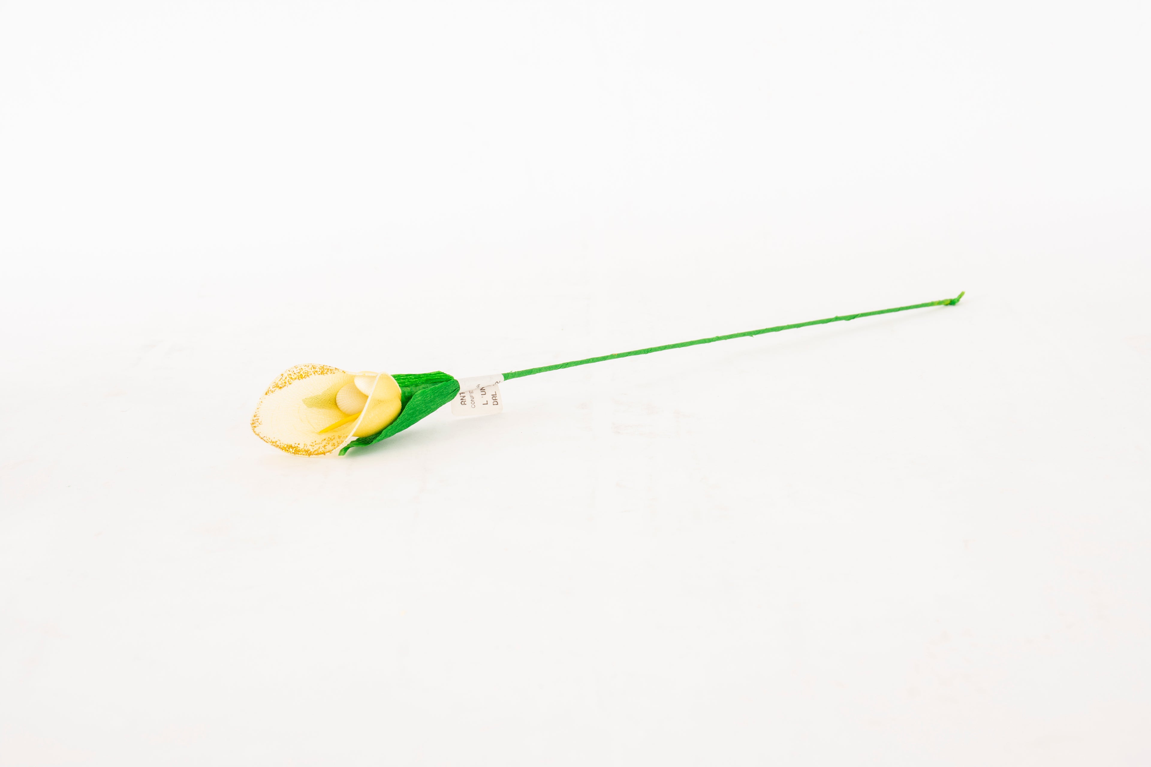 calla-piccola-gialla-2