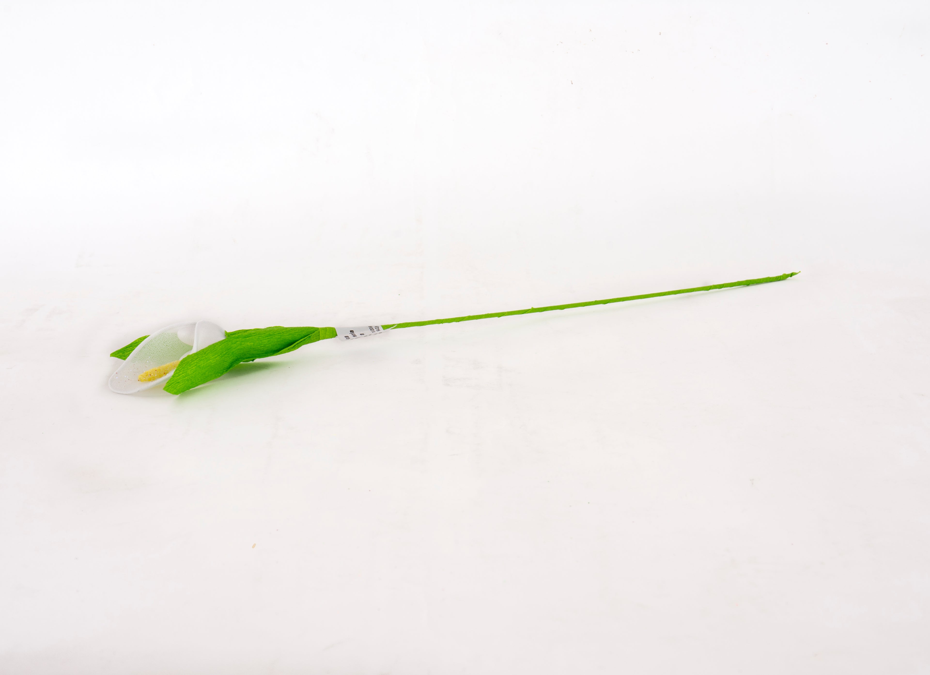 calla-piccola-bianca-2