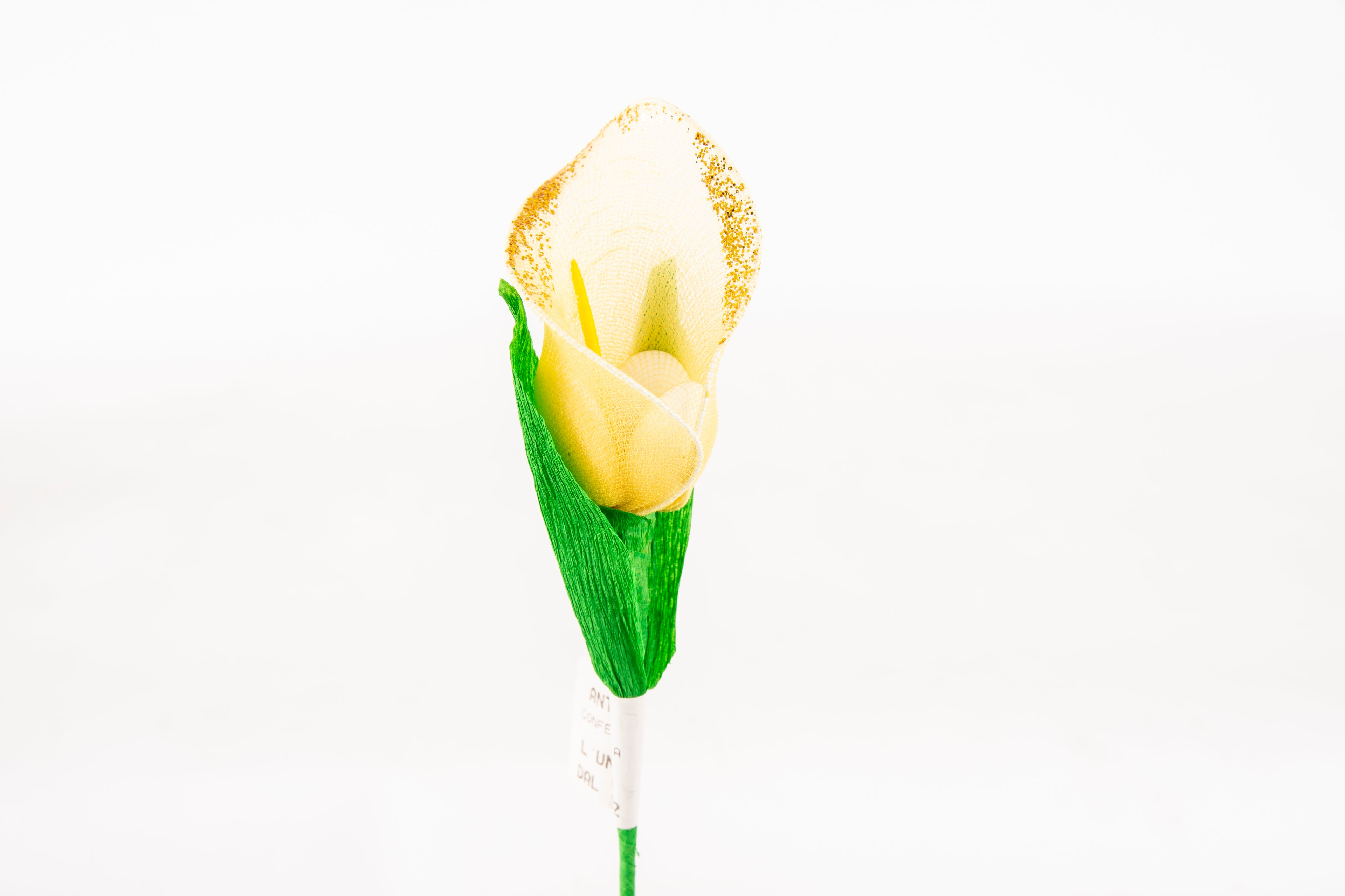 calla-piccola-gialla