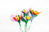 farfallina-media-1