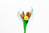 farfalla-mini-1