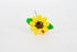 girasole-piccolo-1