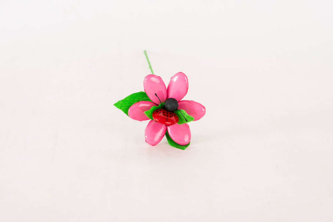 margherita-media-con-coccinella-rosa-1