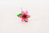 margherita-media-con-coccinella-rosa-1