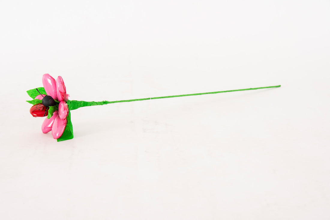 margherita-media-con-coccinella-rosa-2