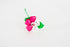 margherita-cuore-bicolore-con-coccinella-rosa-1