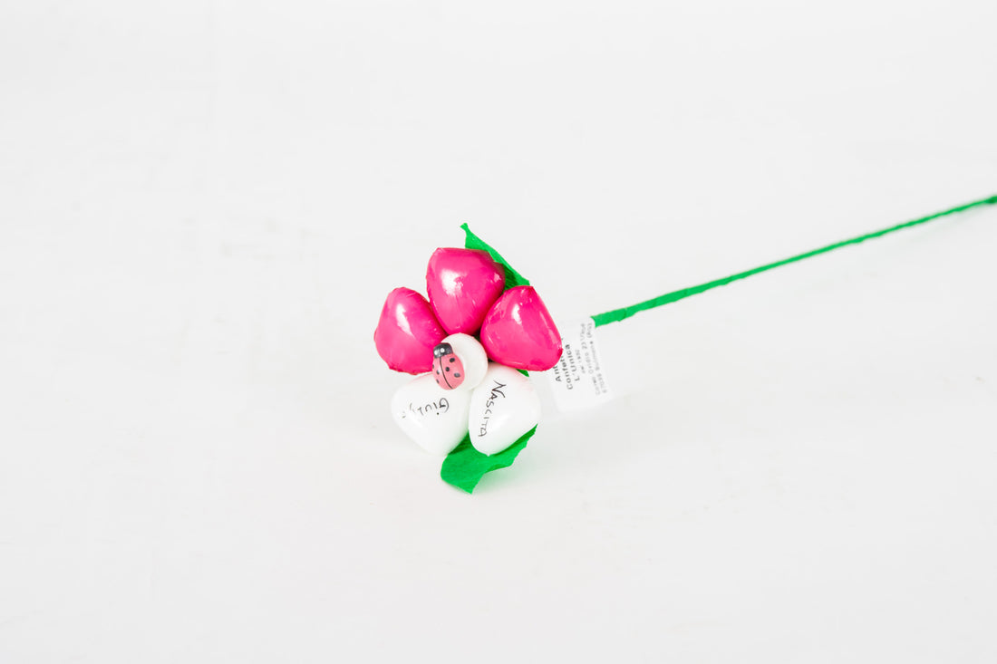 margherita-cuore-bicolore-con-coccinella-rosa-2