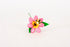 margherita-girasole-ape-3