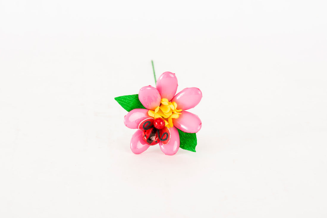 margherita-girasole-coccinella-rosa-1
