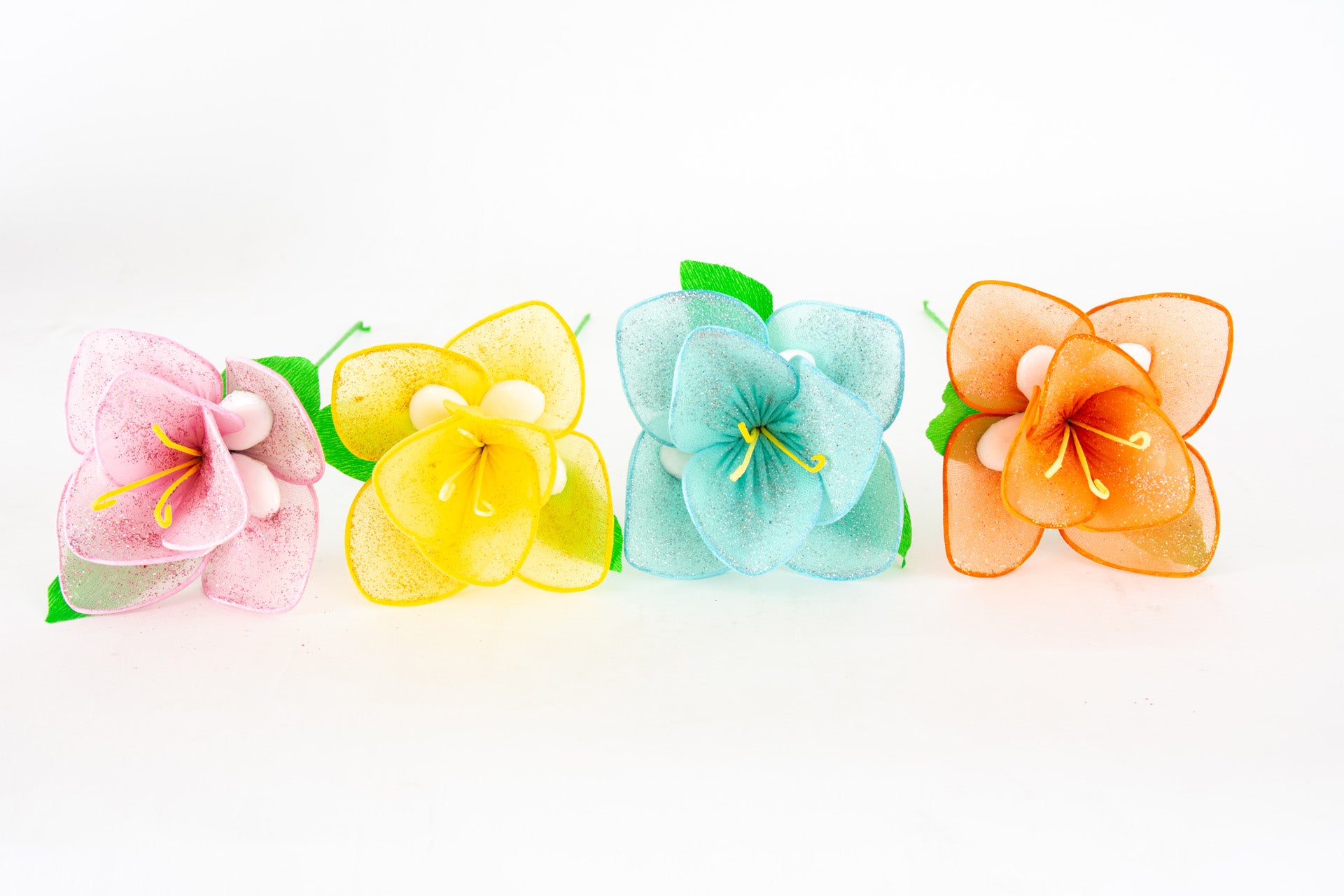 orchidea-1