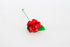rosa-media-1