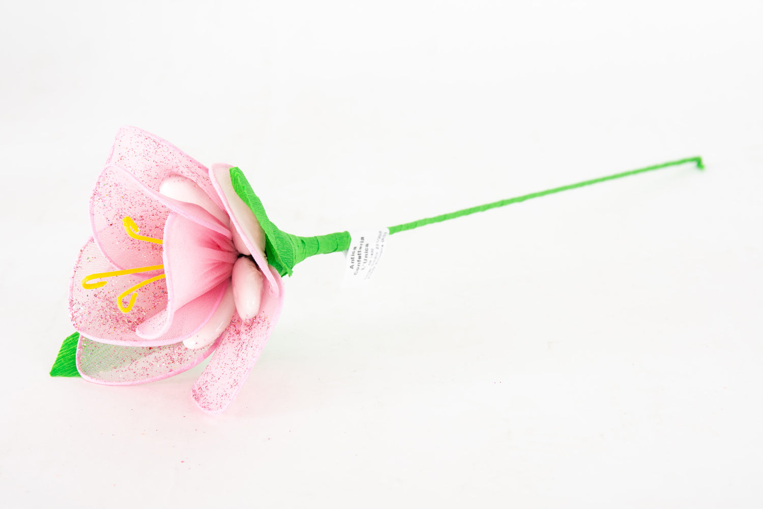 orchidea-5