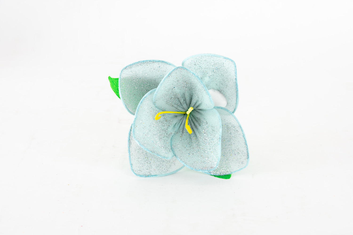orchidea-8