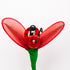 coccinella-media-1