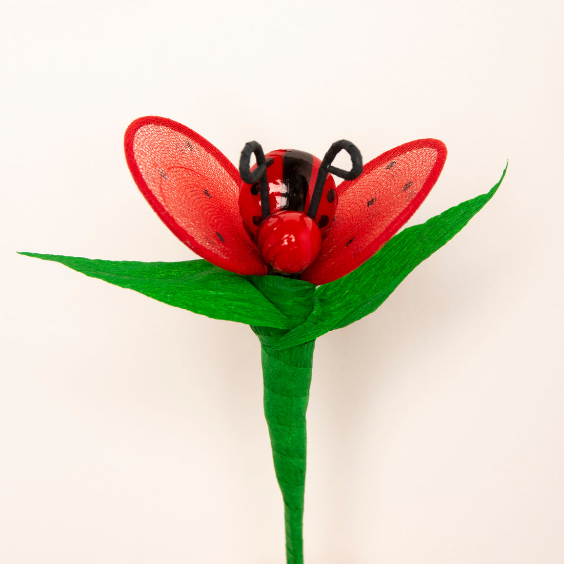 coccinella-mini-1