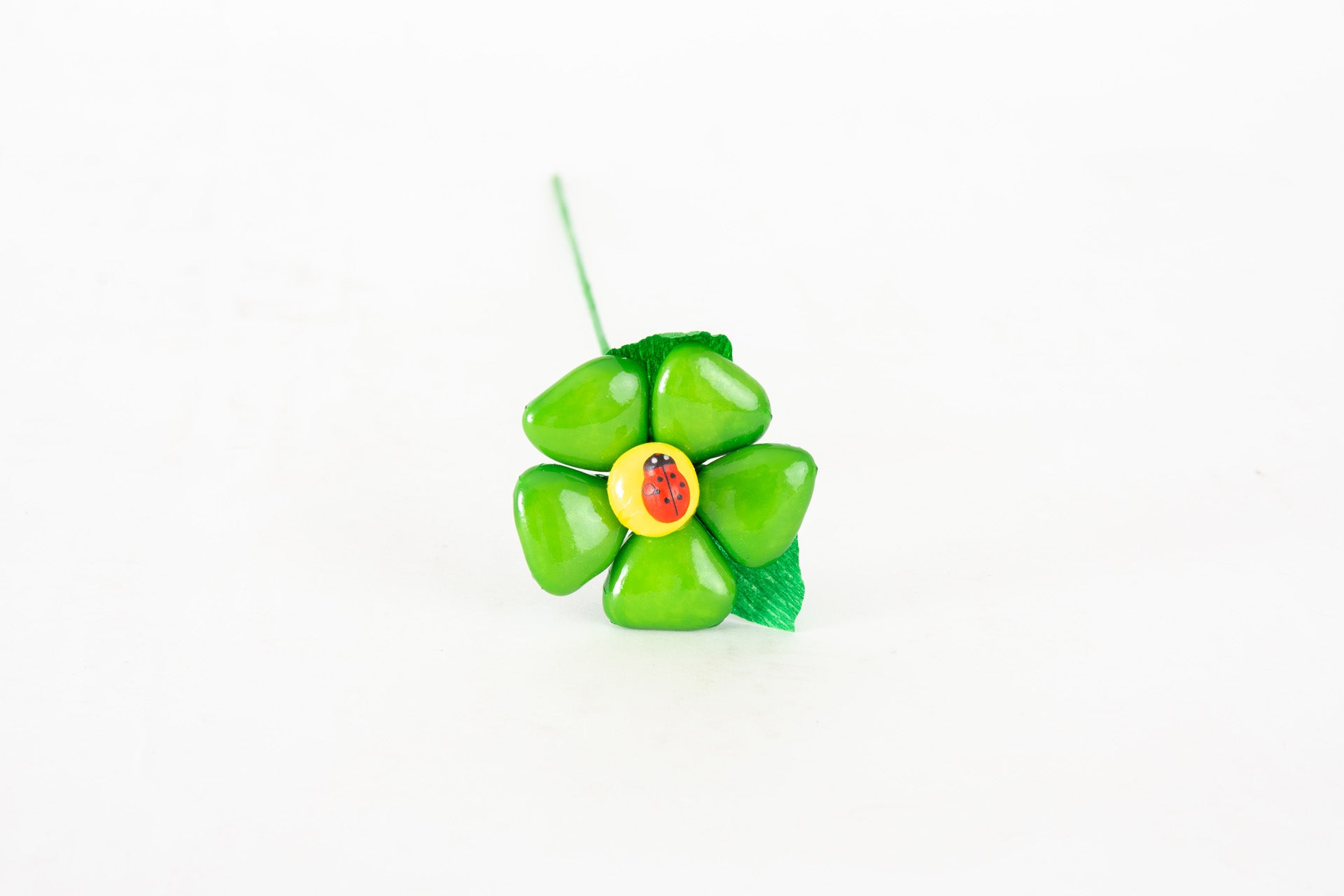 margherita-cuore-con-coccinella-verde