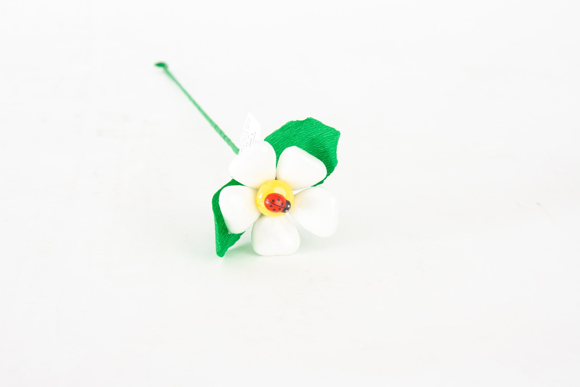 margherita-cuore-con-coccinella-bianco