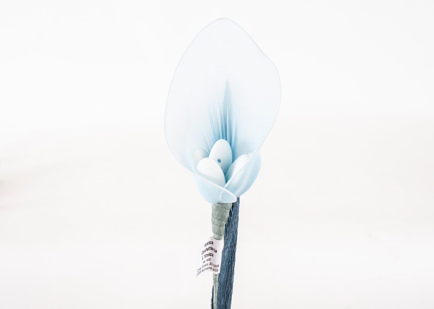 calla-grande-azzurro-2