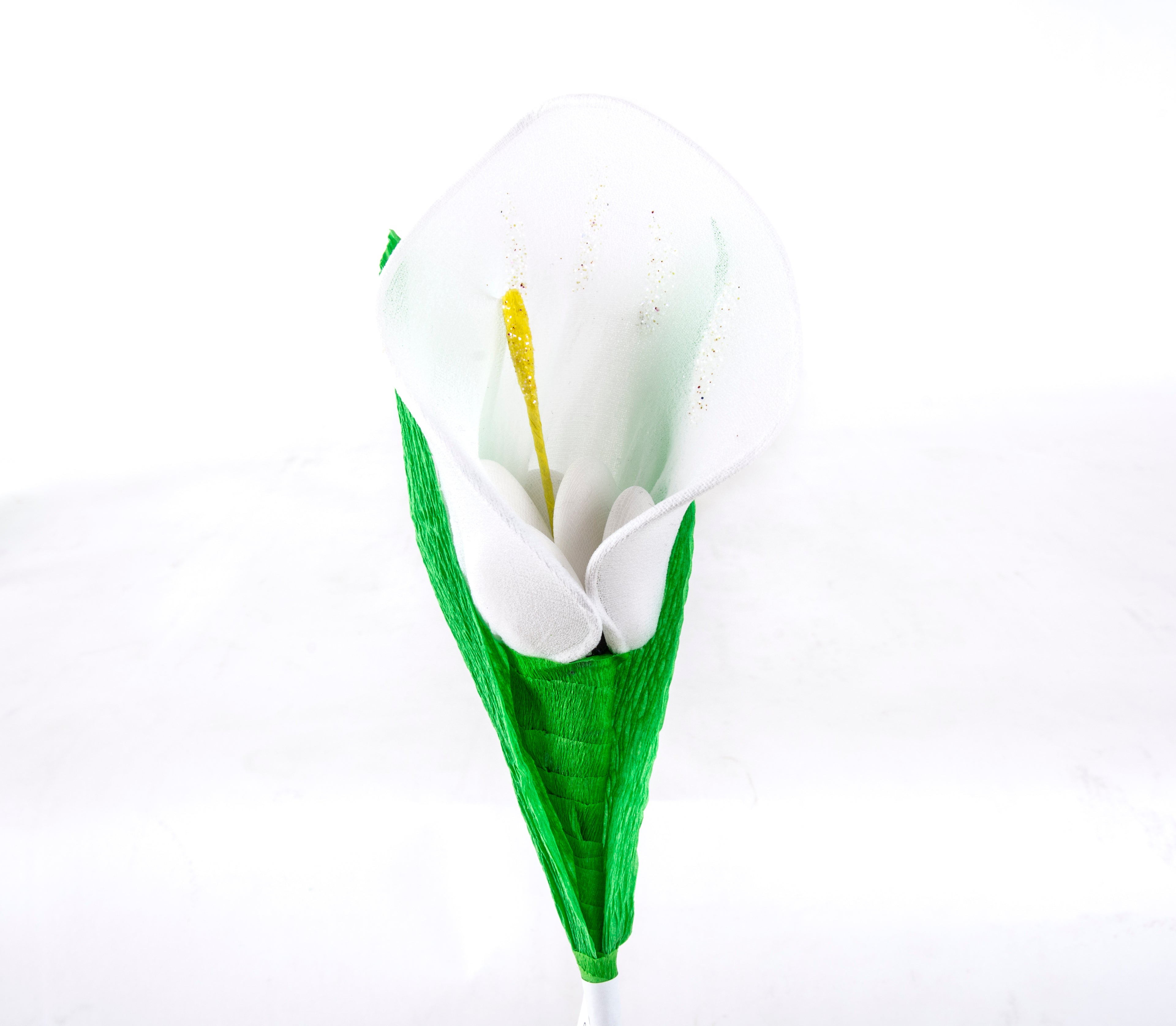 calla-grande-bianco