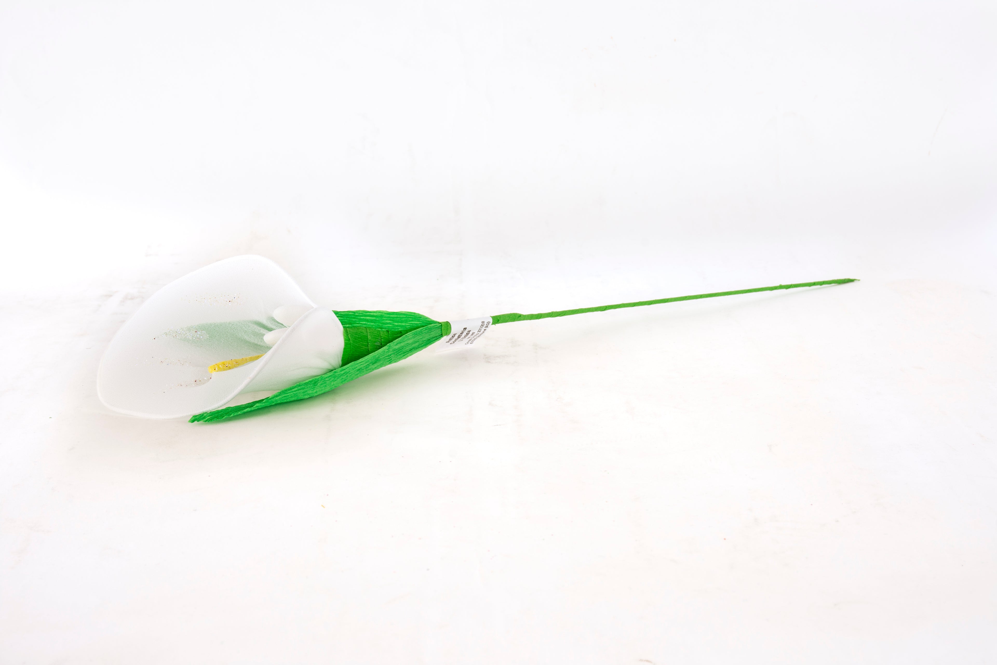 calla-grande-bianco-2