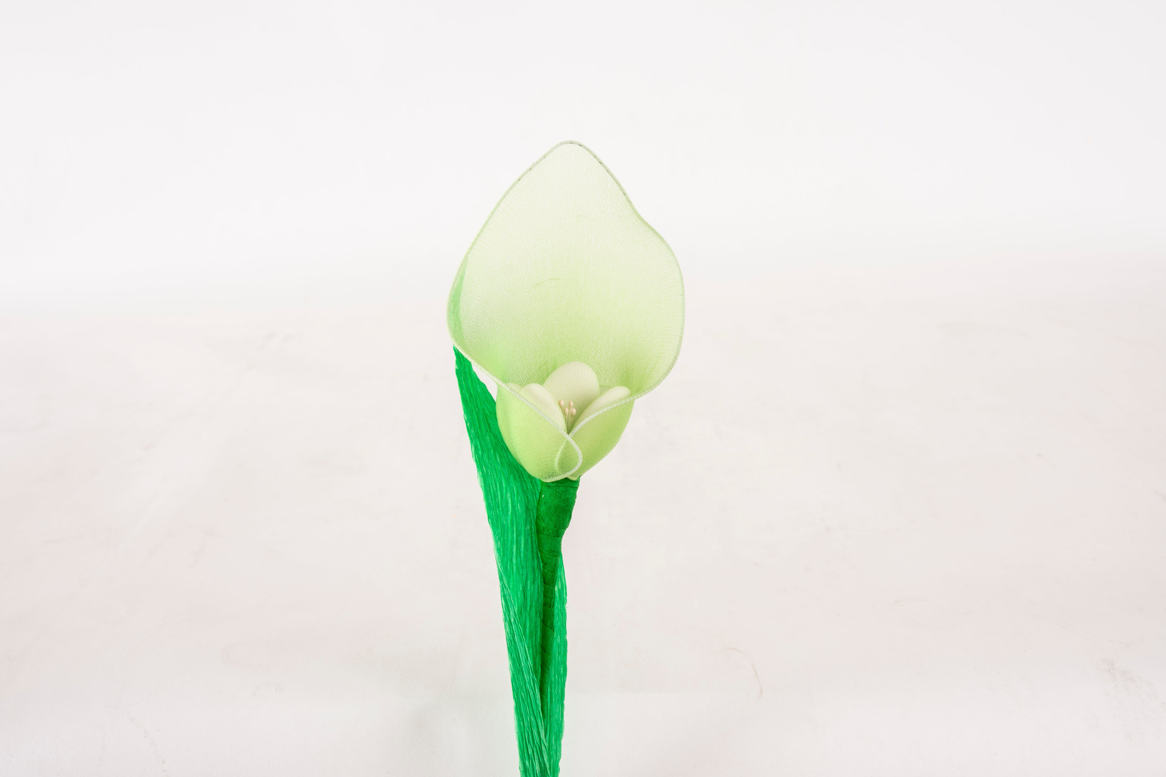 calla-grande-verde