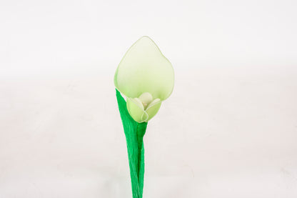 calla-grande-verde