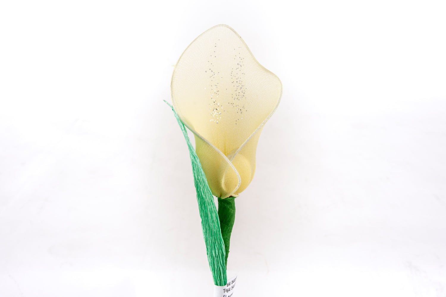 calla-media-gialla