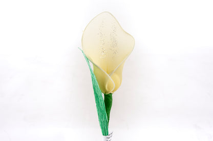 calla-media-gialla