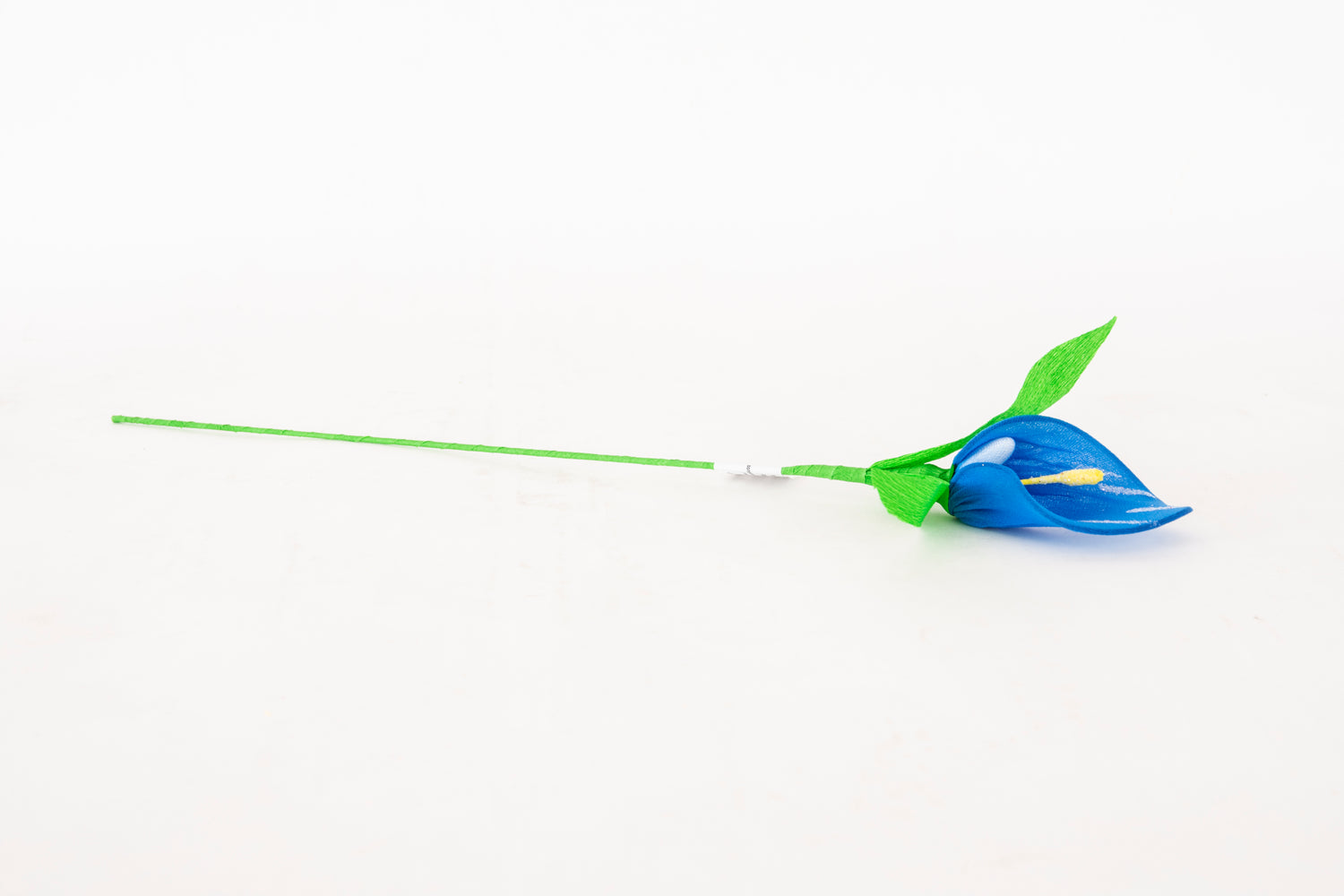 calla-media-blu-2