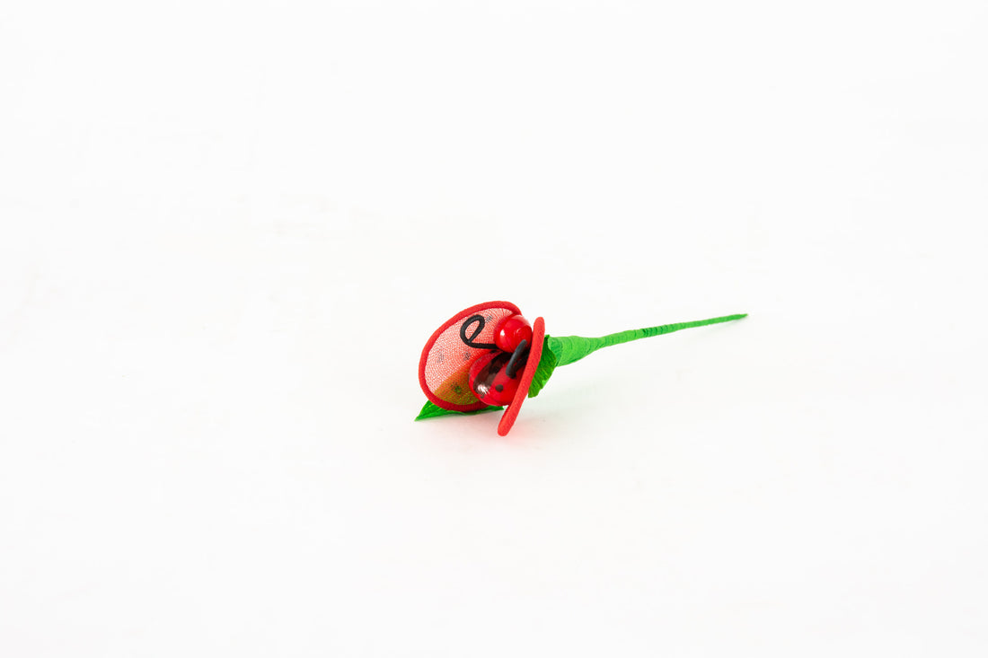 coccinella-mini-2