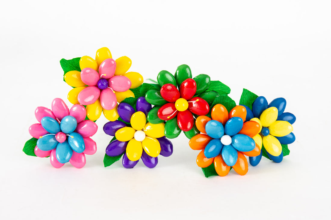 gerberina-bicolore-piccola-1