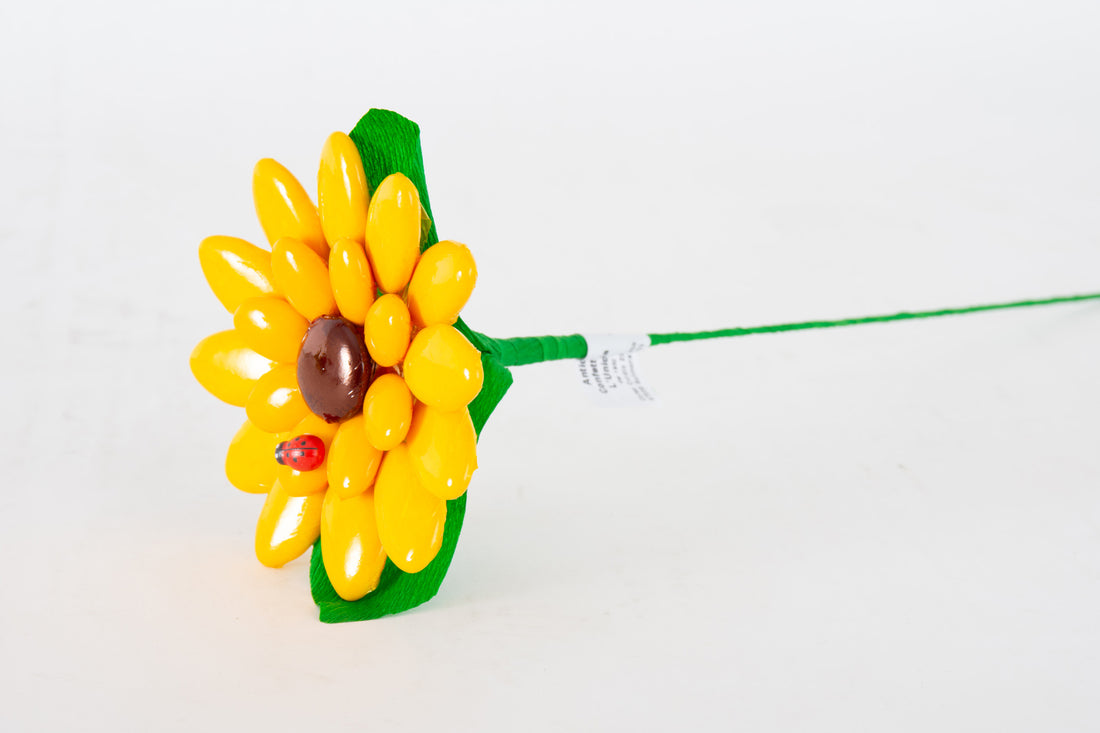 girasole-grande-2