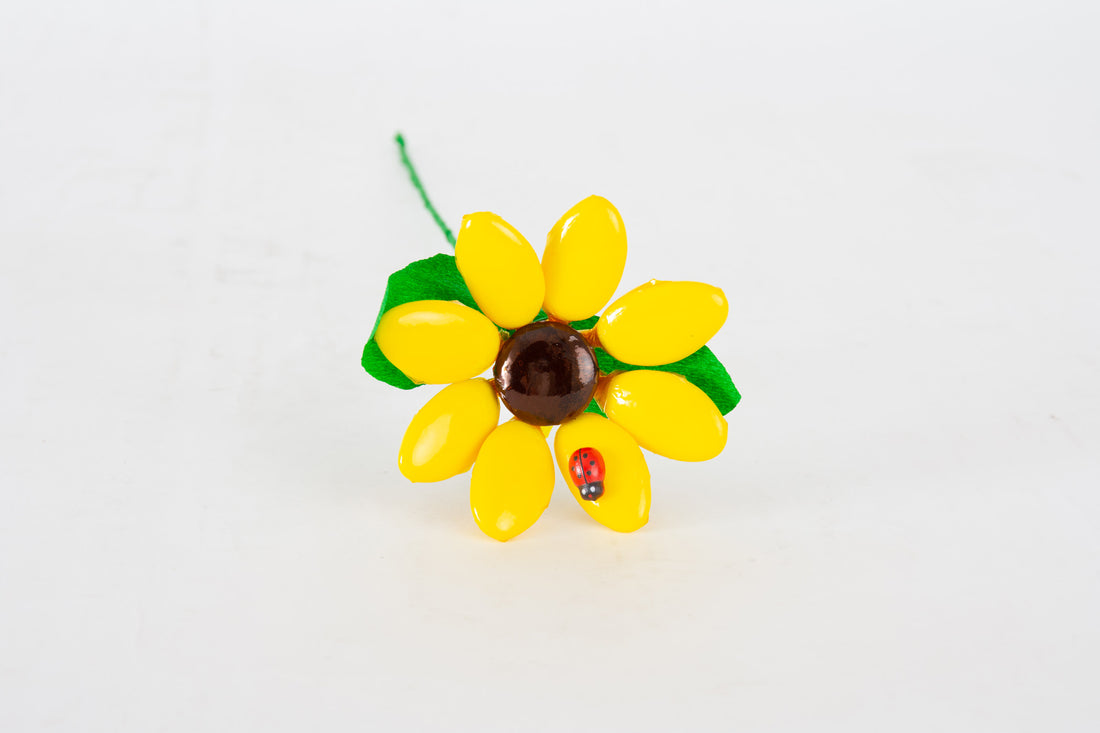girasole-medio-1