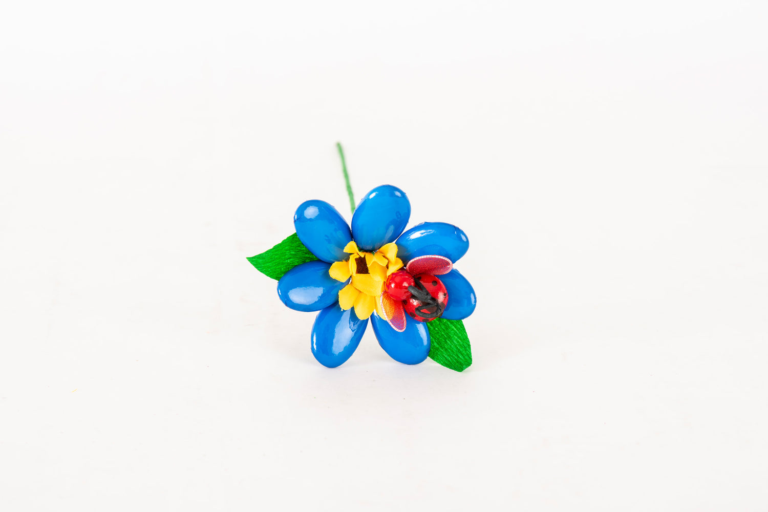 margherita-girasole-coccinella-blu-1