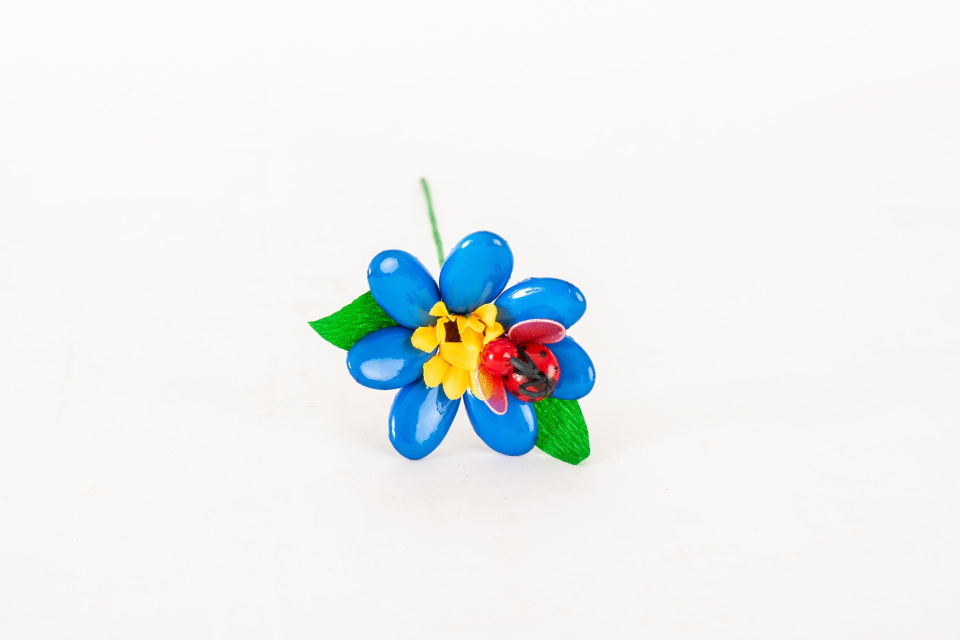 margherita-girasole-coccinella-blu-1