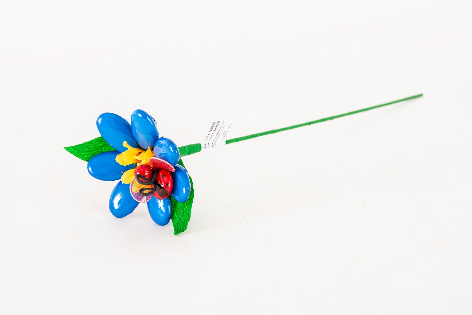 margherita-girasole-coccinella-blu-2