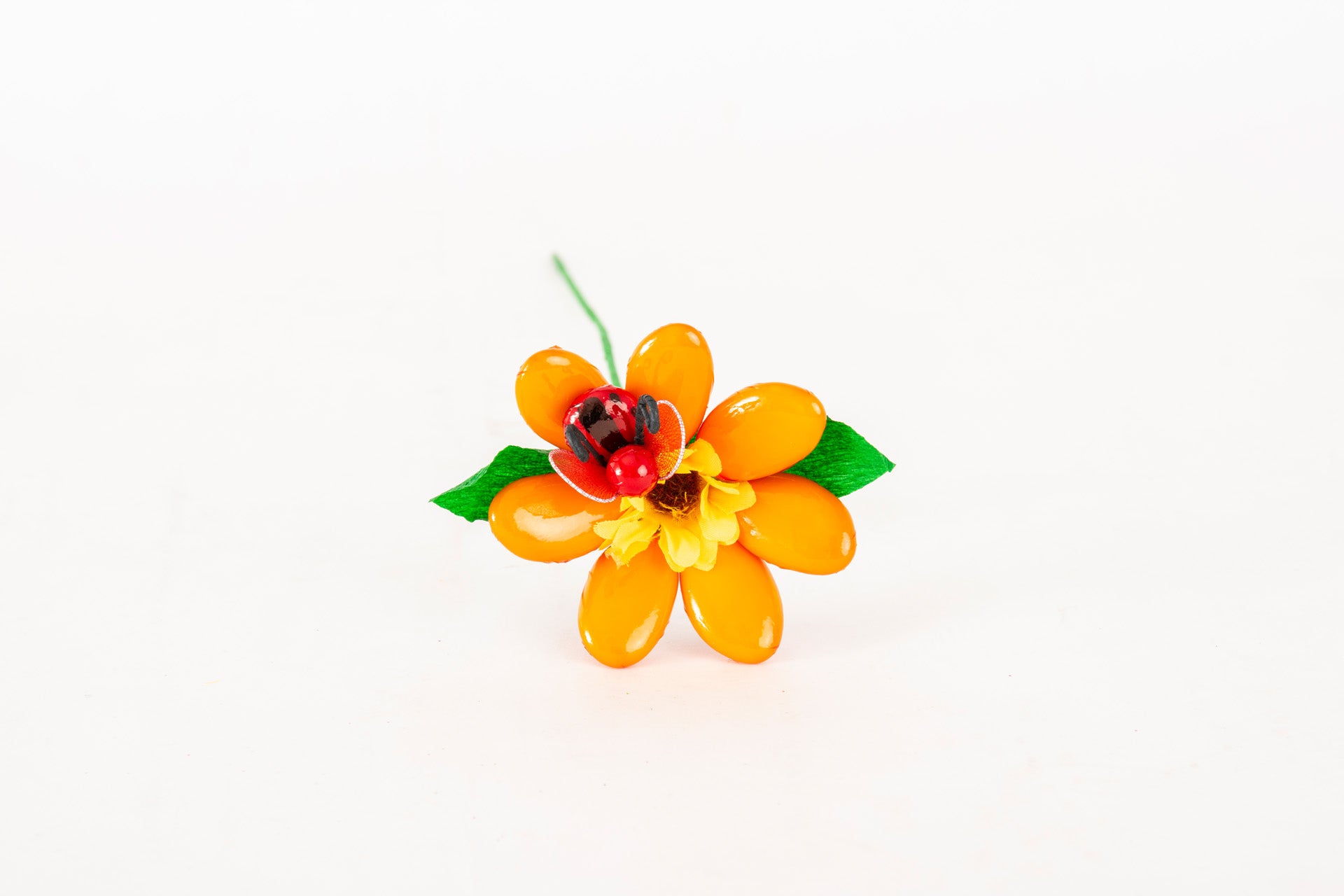 margherita-girasole-coccinella-arancione-1