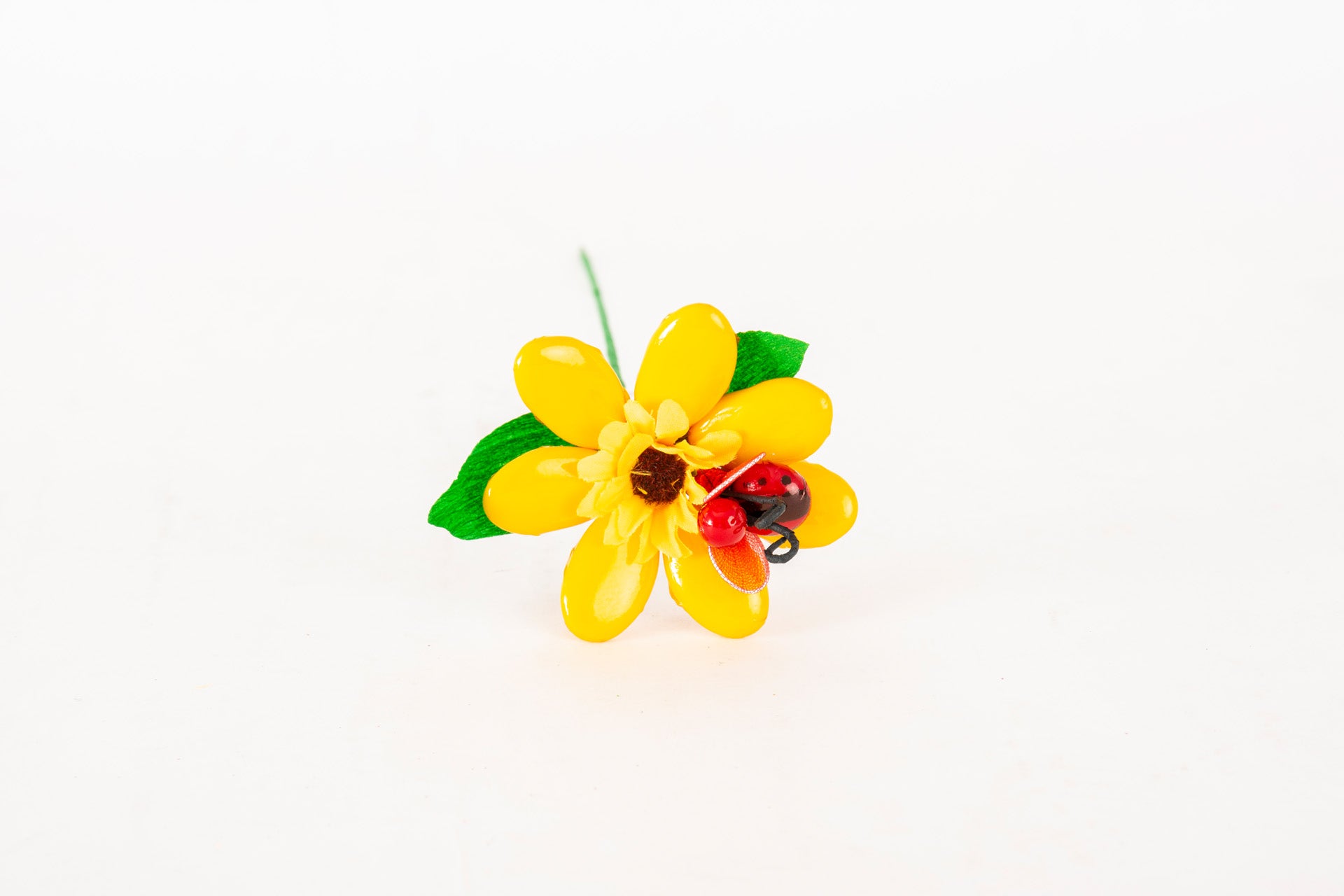 margherita-girasole-coccinella-gialla-1